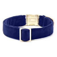 Navy Velvet Dog Collar from The Foggy Dog 