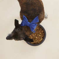 #Modeled by Richie (20lbs) in a Small lady bow