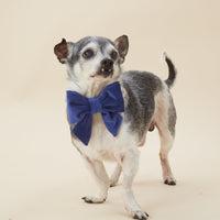 #Modeled by Joshua (10lbs) in a Small lady bow