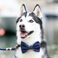 #Modeled in a Large bow tie