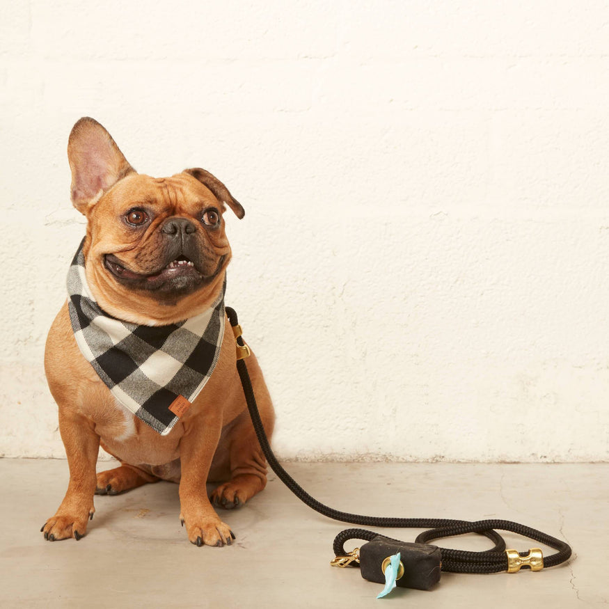 Smokey' Black & Grey Laminated Cotton Designer Dog Leash