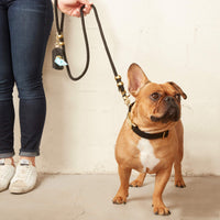 Onyx Waxed Canvas Waste Bag Dispenser from The Foggy Dog 