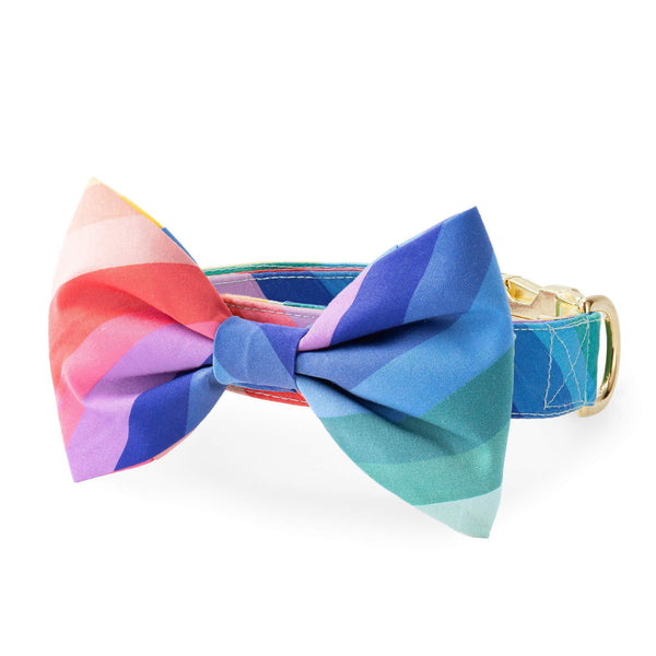 Sprinkles Dog Bow Tie – The Foggy Dog