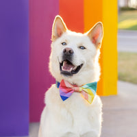 #Modeled in a Large bow tie