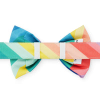 Over the Rainbow Dog Bow Tie from The Foggy Dog 