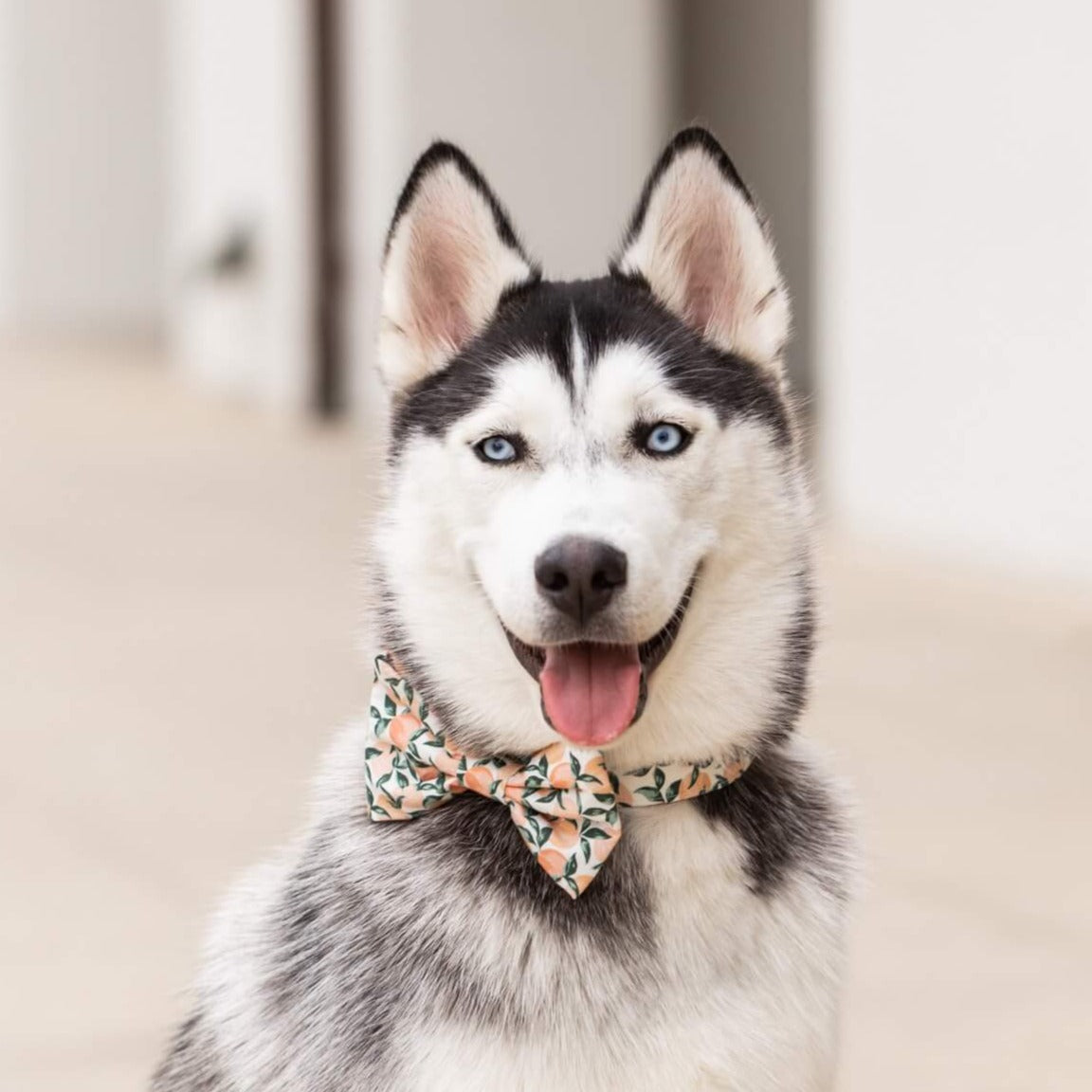 #Modeled in a Large bow tie