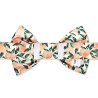 Peaches and Cream Dog Bow Tie from The Foggy Dog 