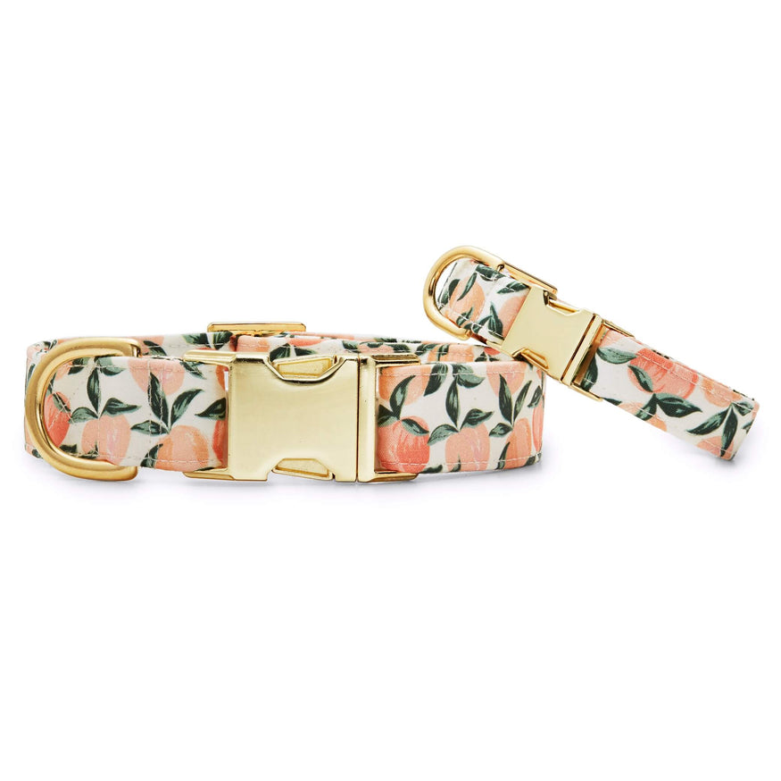Peaches and Cream Dog Collar – The Foggy Dog