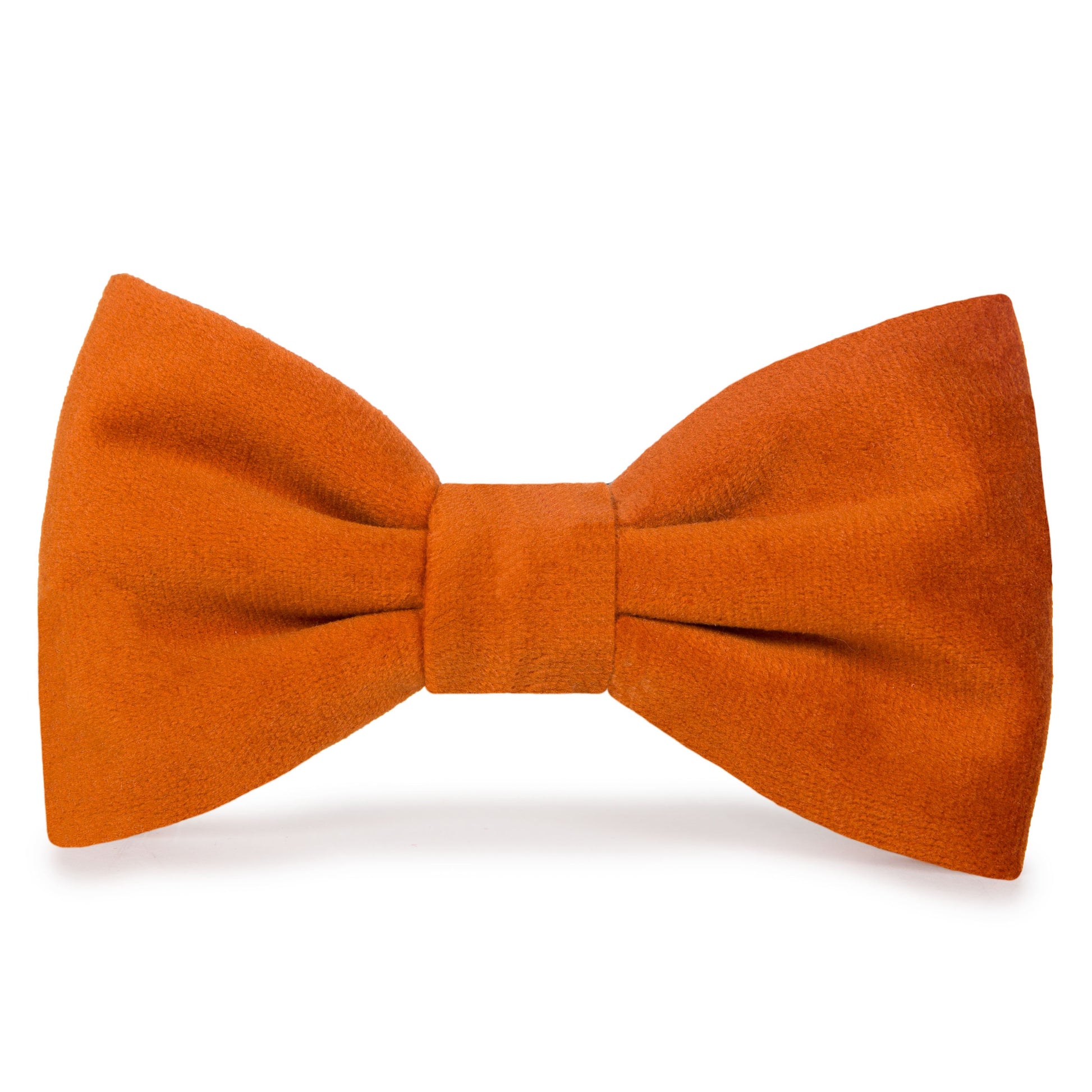 Pumpkin Velvet Dog Bow Tie from The Foggy Dog