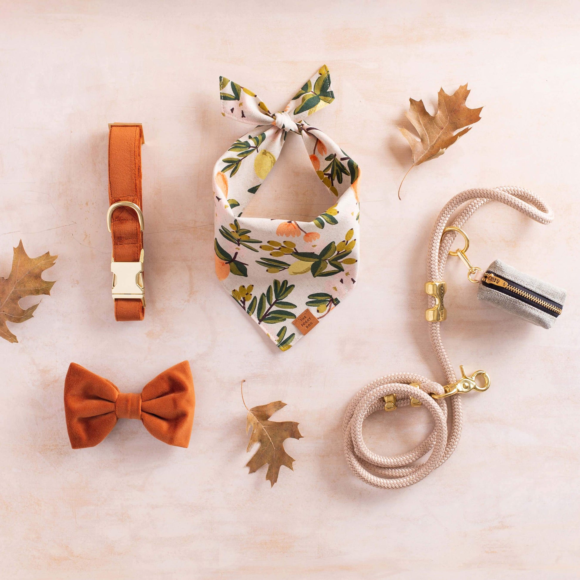 Pumpkin Velvet Dog Bow Tie from The Foggy Dog 