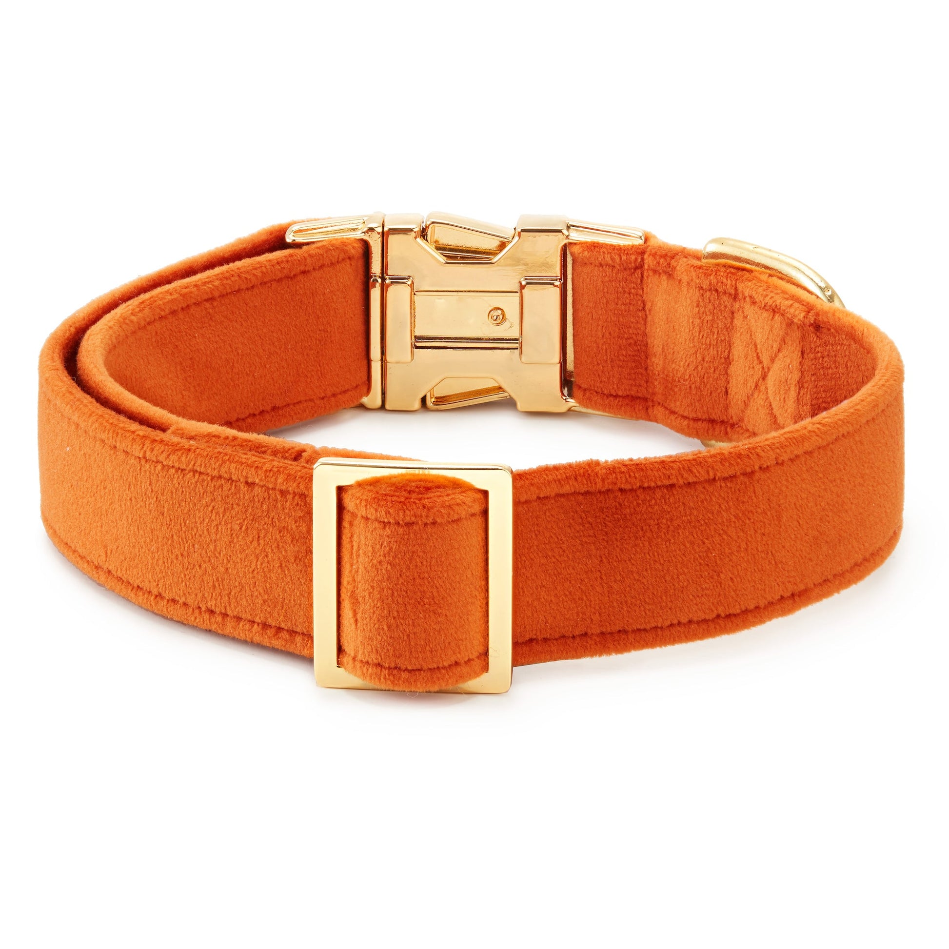 Pumpkin Velvet Dog Collar from The Foggy Dog 