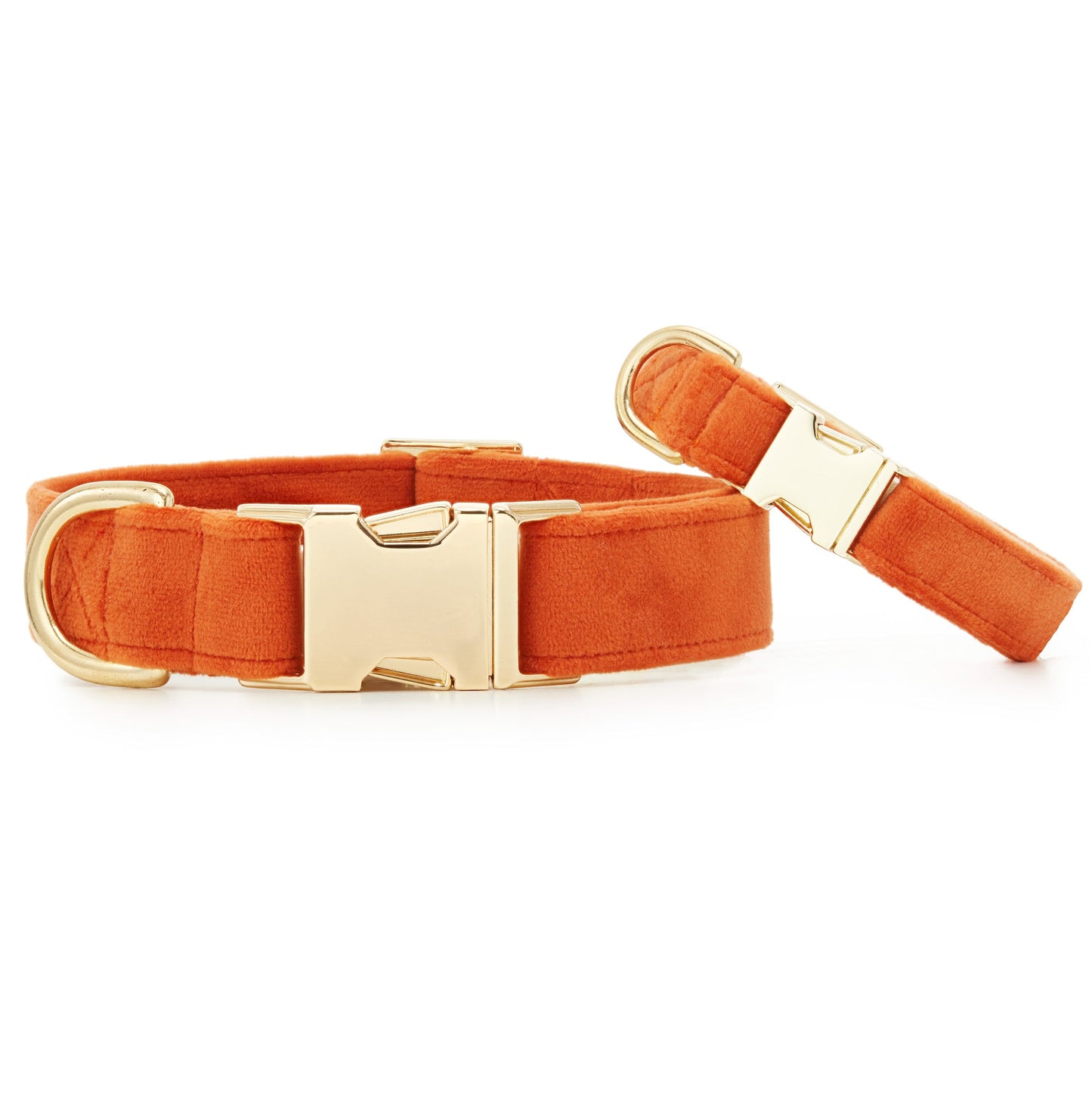 Pumpkin Velvet Dog Collar from The Foggy Dog XS 