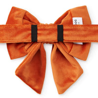 Pumpkin Velvet Lady Bow Collar from The Foggy Dog 