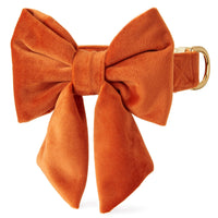 Pumpkin Velvet Lady Bow Collar from The Foggy Dog