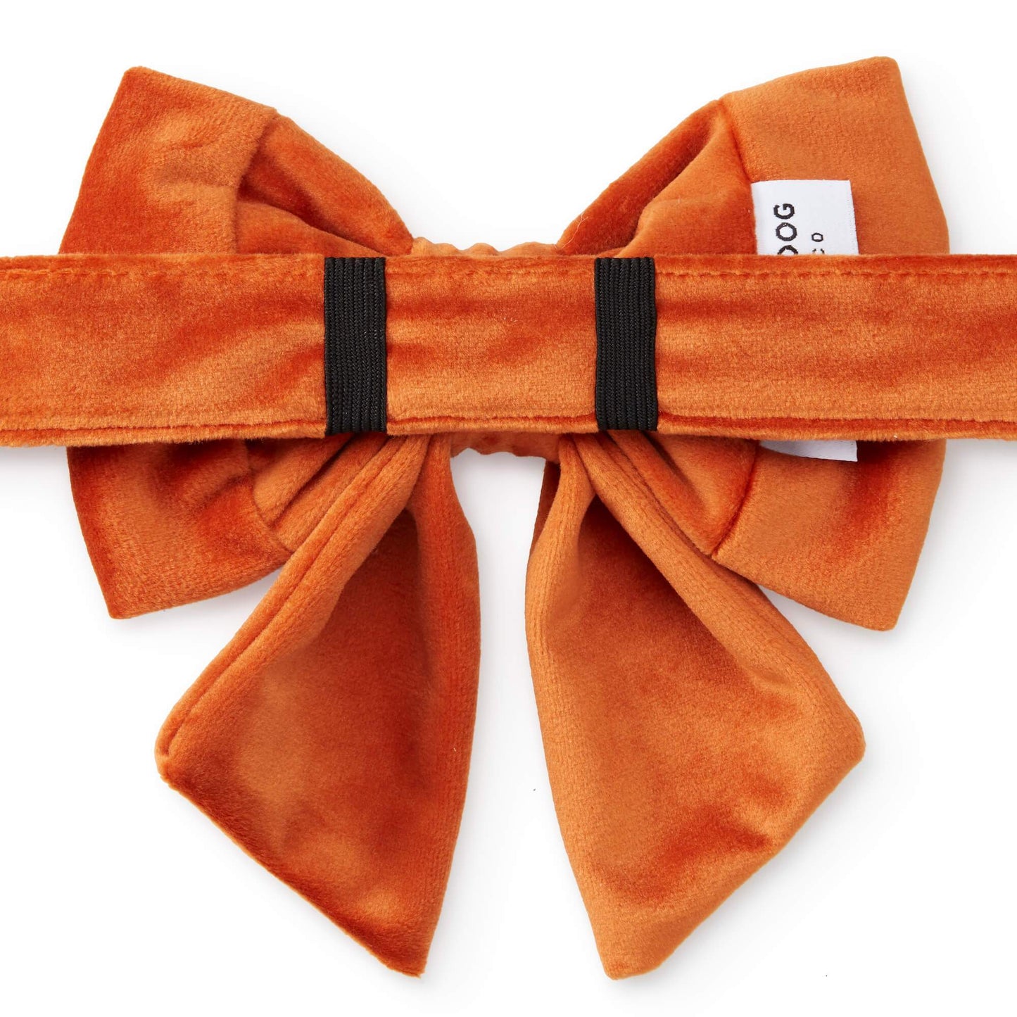 Pumpkin Velvet Lady Dog Bow from The Foggy Dog 