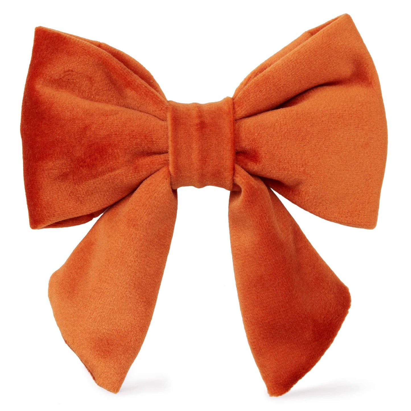 Pumpkin Velvet Lady Dog Bow from The Foggy Dog