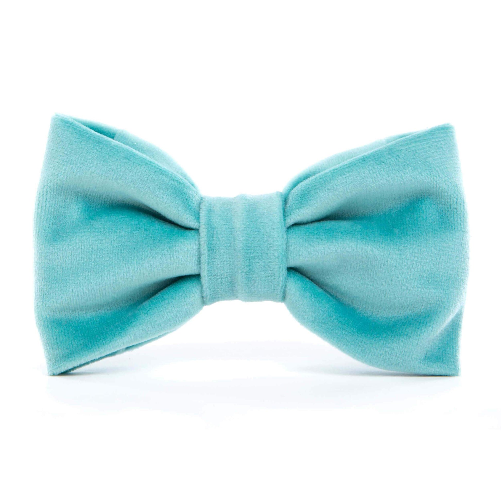 Robin's Egg Velvet Dog Bow Tie from The Foggy Dog