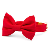 Ruby Bow Tie Collar from The Foggy Dog