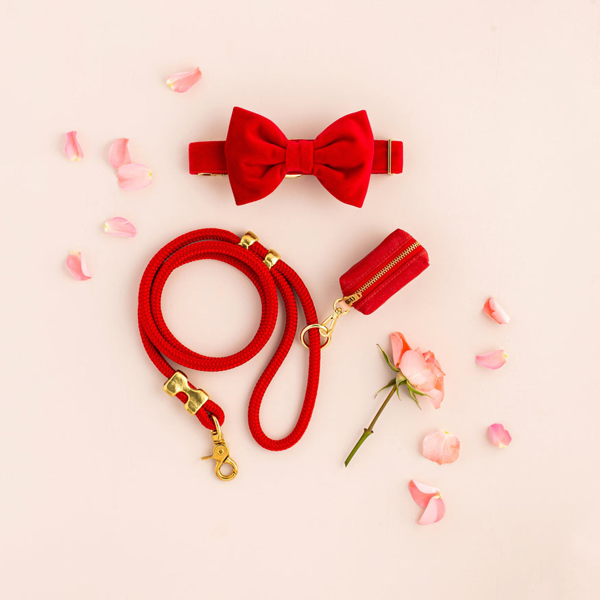 Red Flower Bow Tie Dog Collar And Leash | Supreme Dog Garage