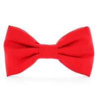 Ruby Dog Bow Tie from The Foggy Dog