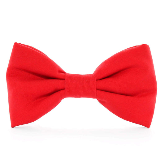 Ruby Dog Bow Tie from The Foggy Dog
