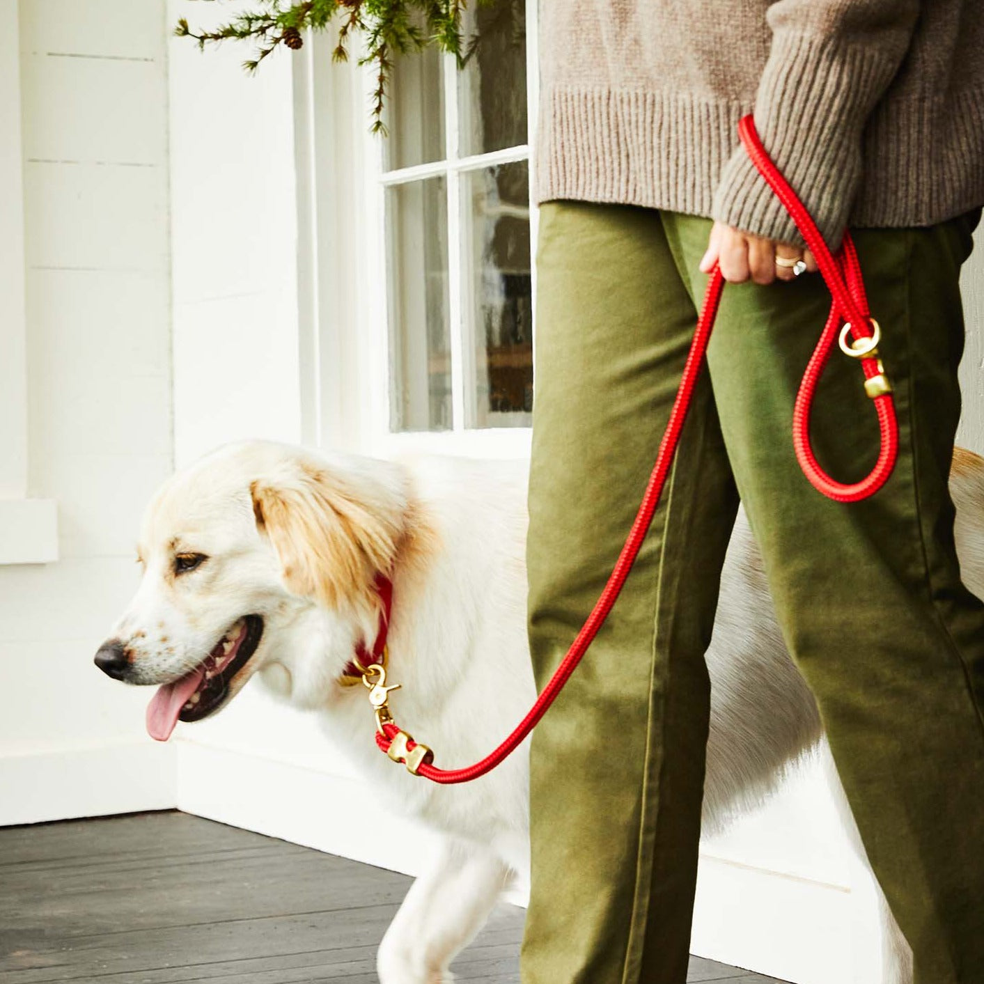 Foggy dog fashion leash