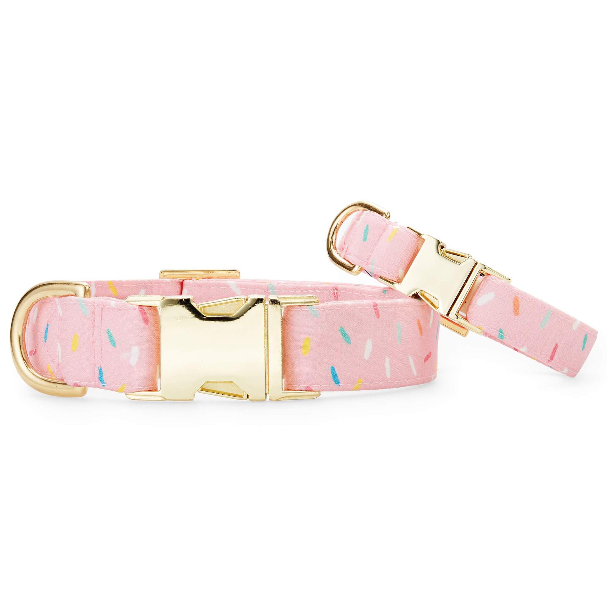 Sprinkles Dog Collar from The Foggy Dog 