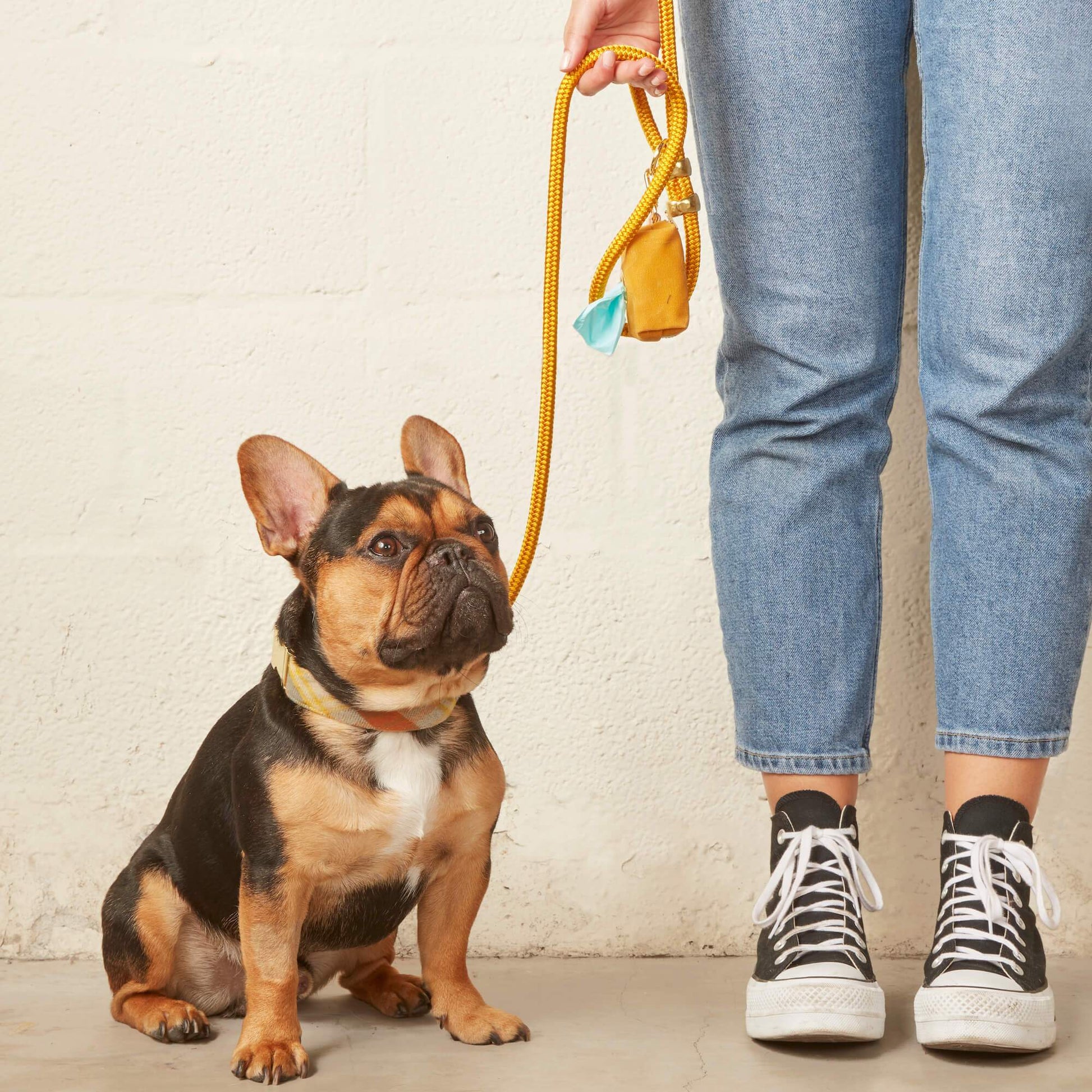 Sunflower Waxed Canvas Waste Bag Dispenser from The Foggy Dog 