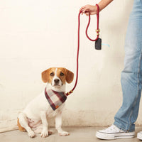 Wine Marine Rope Dog Leash (Standard/Petite) from The Foggy Dog 