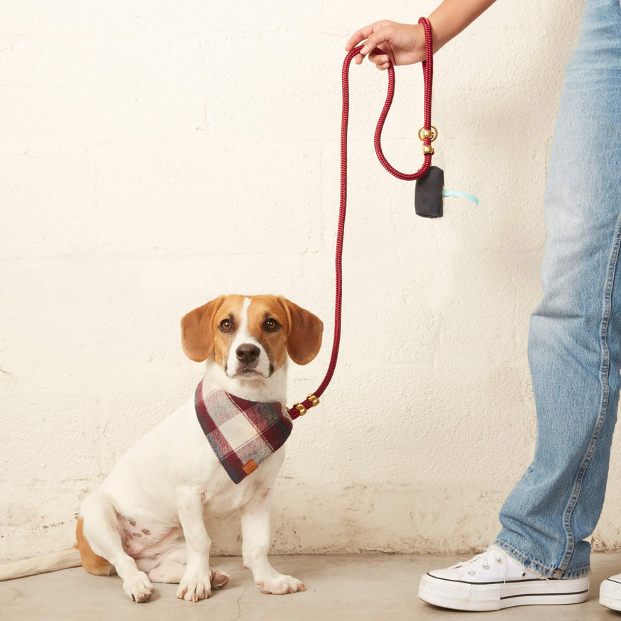 Flax Marine Rope Dog Leash – The Foggy Dog