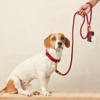 Wine Marine Rope Dog Leash (Standard/Petite) from The Foggy Dog 