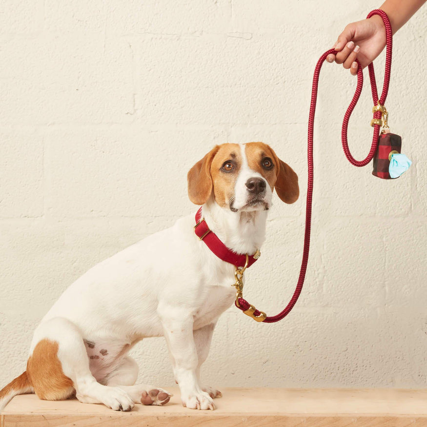 Wine Marine Rope Dog Leash – The Foggy Dog